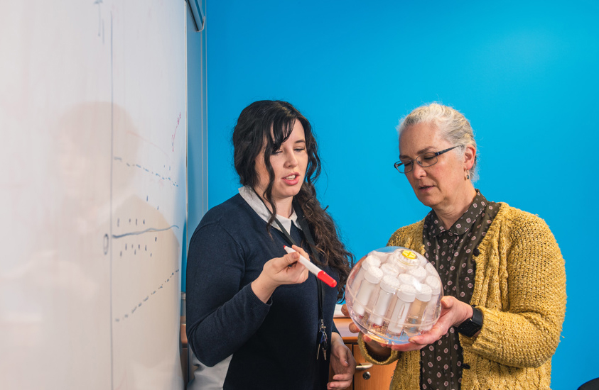 Two people at Perspectum examining a transparent MRI test phantom beside a whiteboard