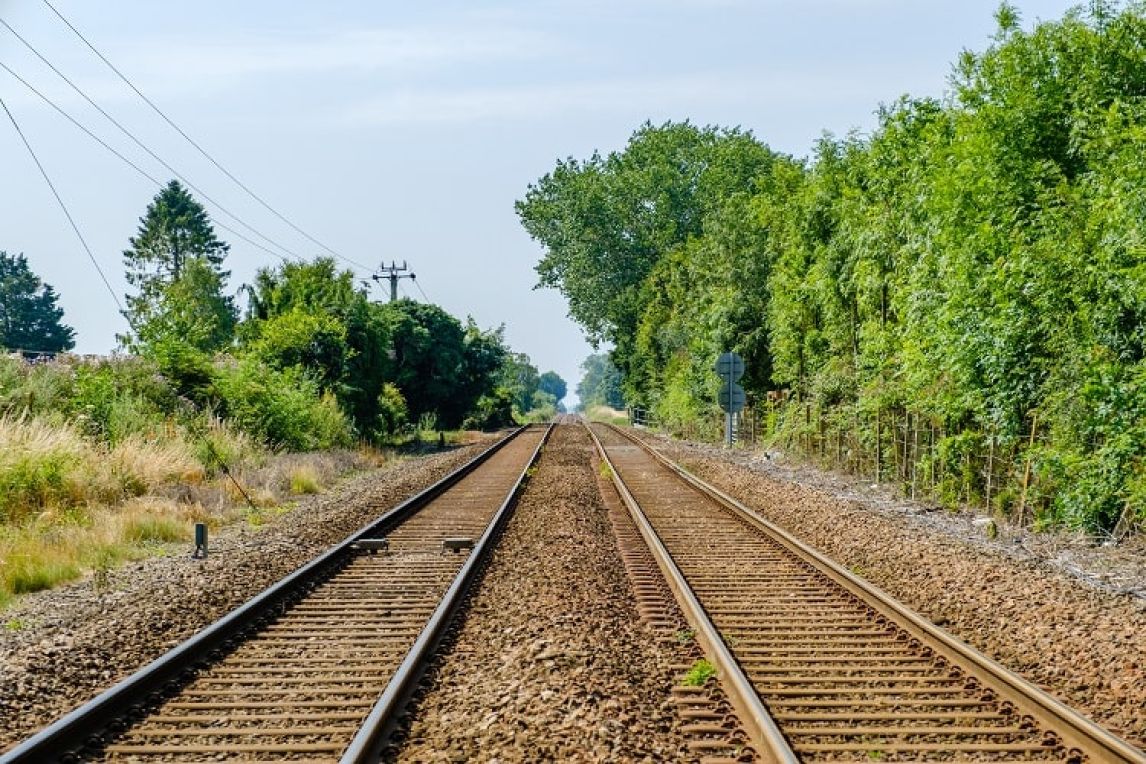 Railway tracks bordered by dense summer vegetation in Greater Anglia’s project photograph