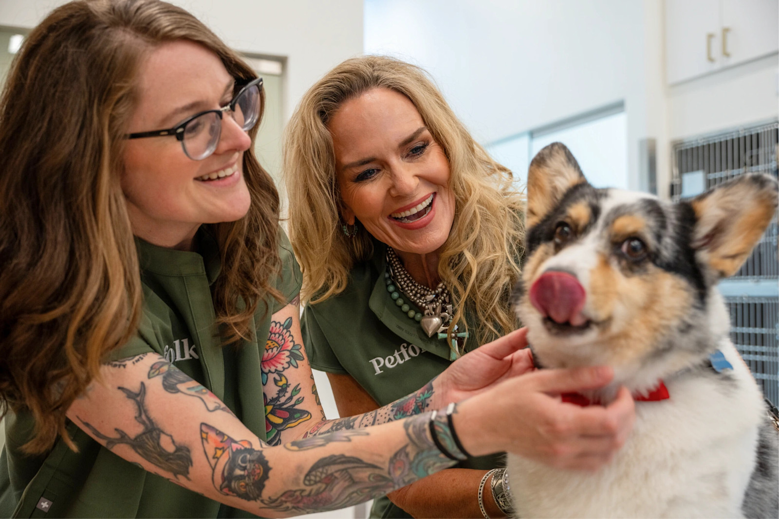 Two Petfolk team members greeting a corgi in a clinical examination room