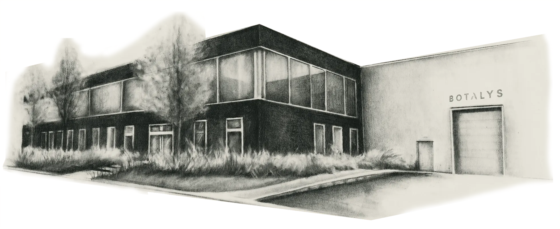 Botalys’ Belgian industrial facility with rows of windows and a company sign