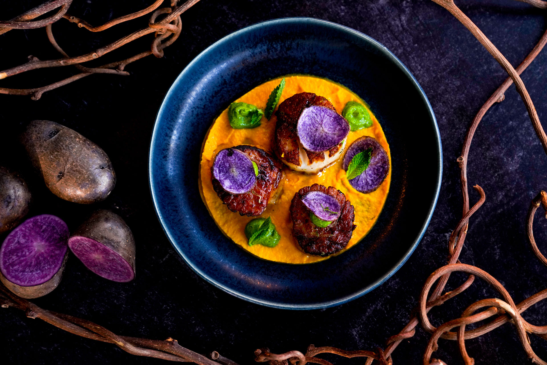 Colorful plated dish photographed in a dark editorial style on Platinum Media's official website