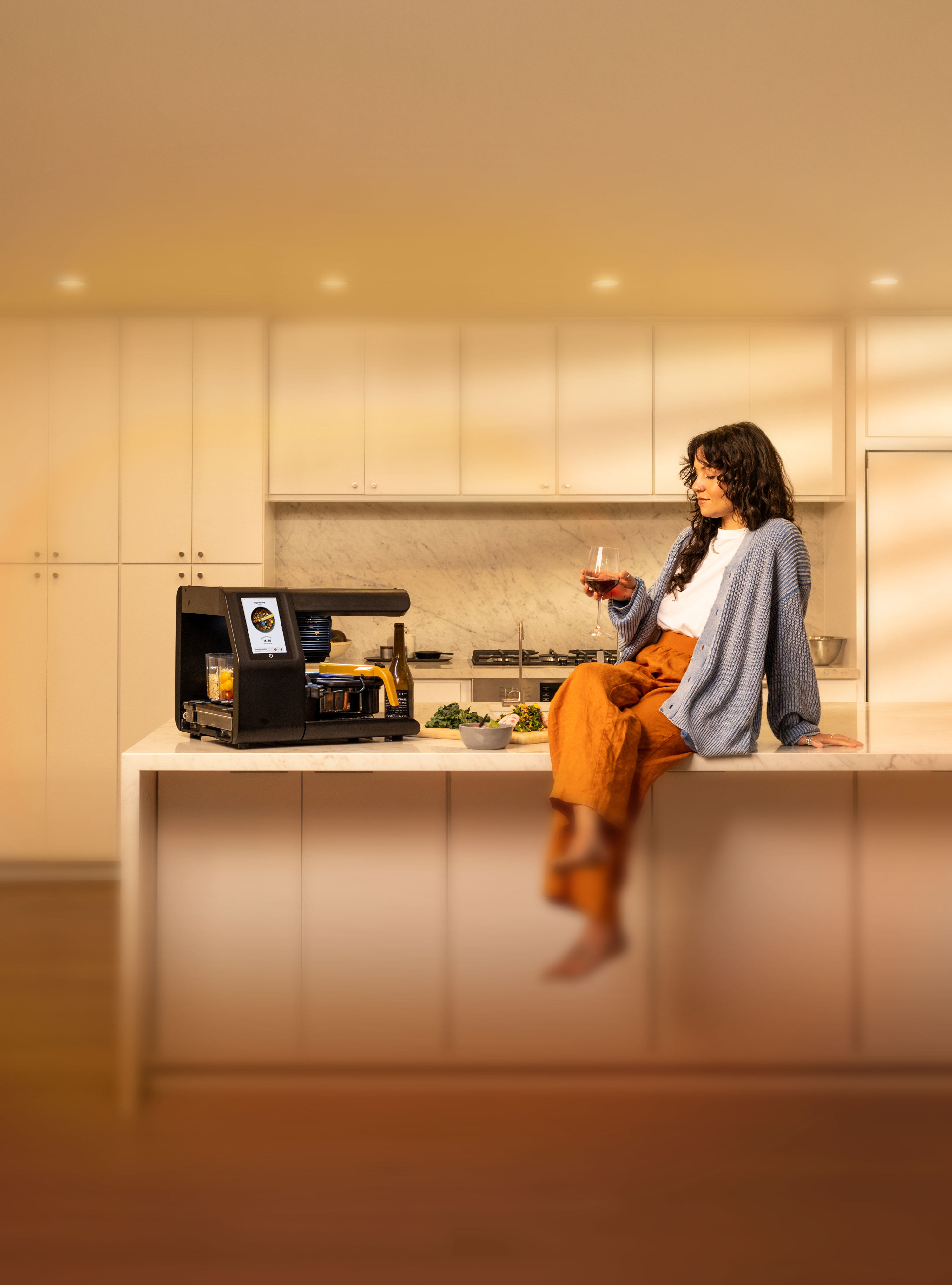 Posha cooking robot on a kitchen counter beside a seated person