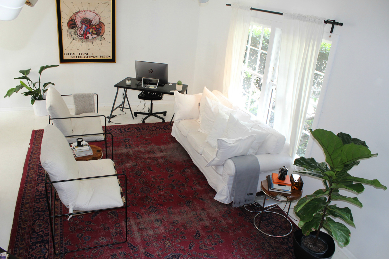 Historical agency office interior with white seating, plants and a desk