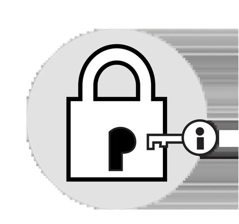 Private Information (Detective Indonesia)