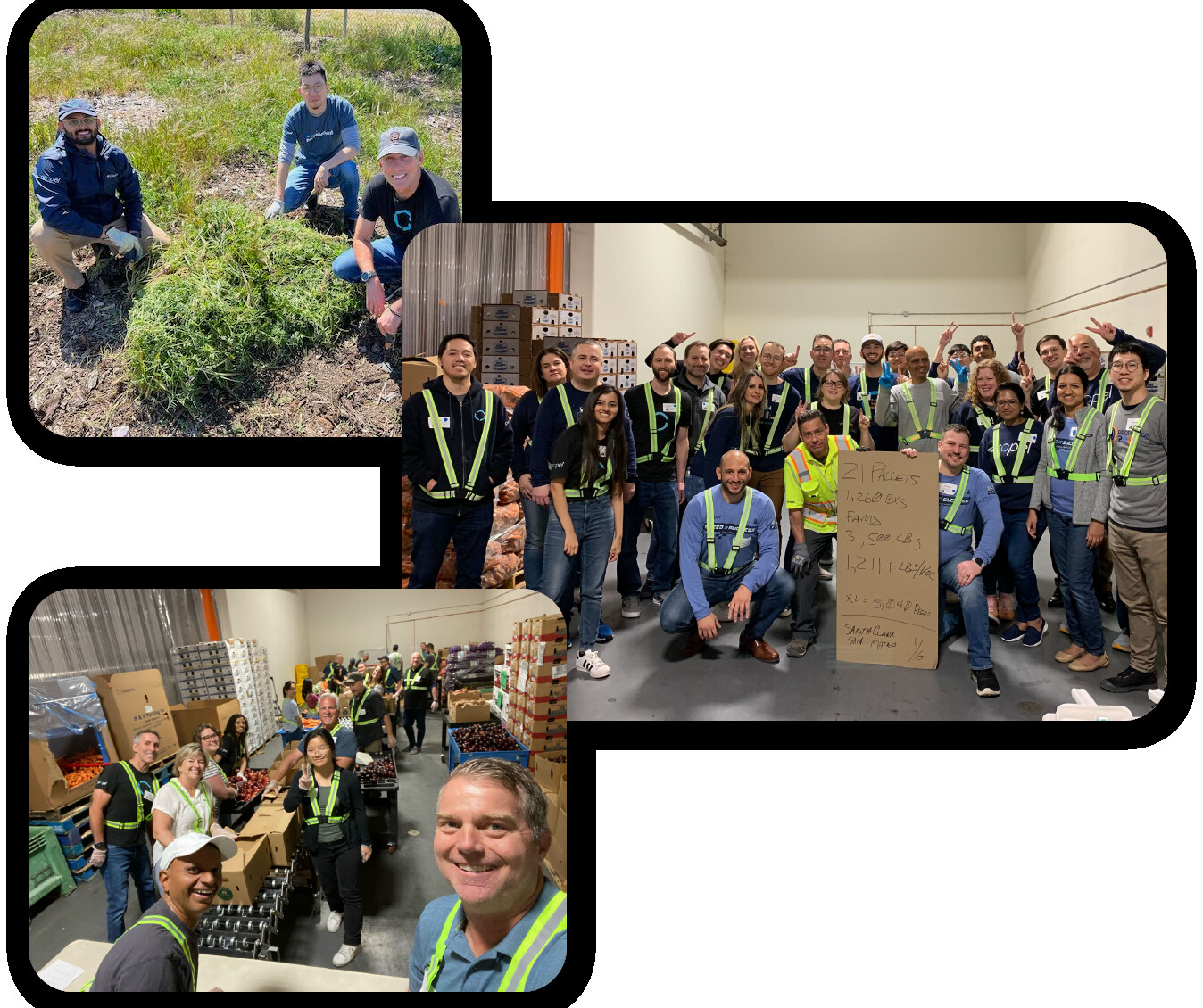 Propel employees volunteering outdoors and at a food distribution warehouse