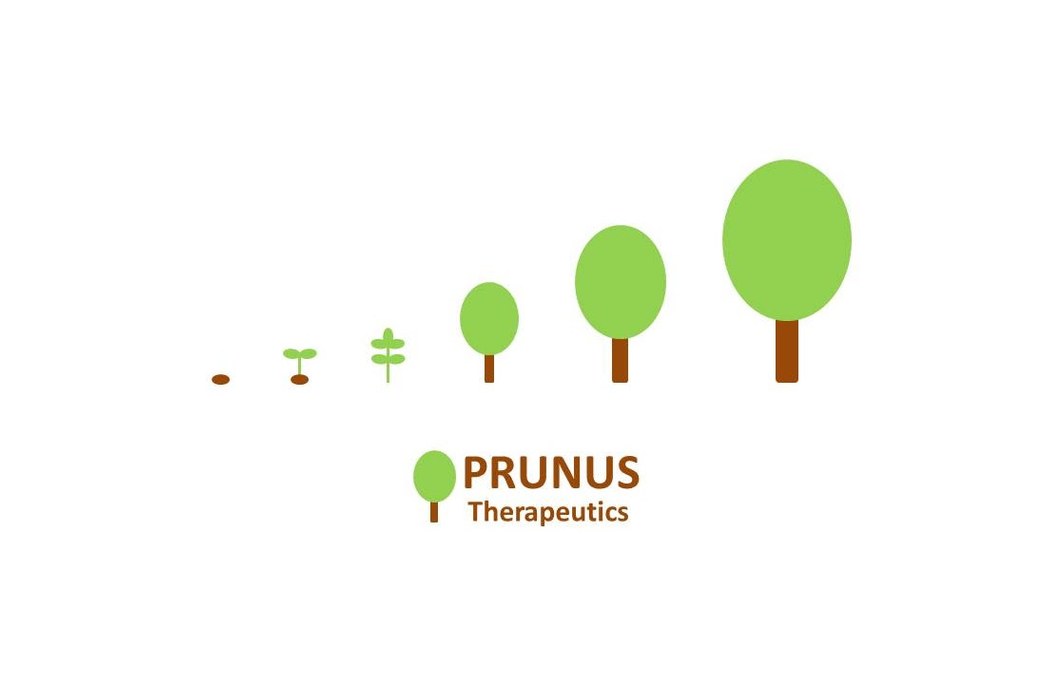 PRUNUS Therapeutics Is Betting the Company on the Moment Cancer Lets Go