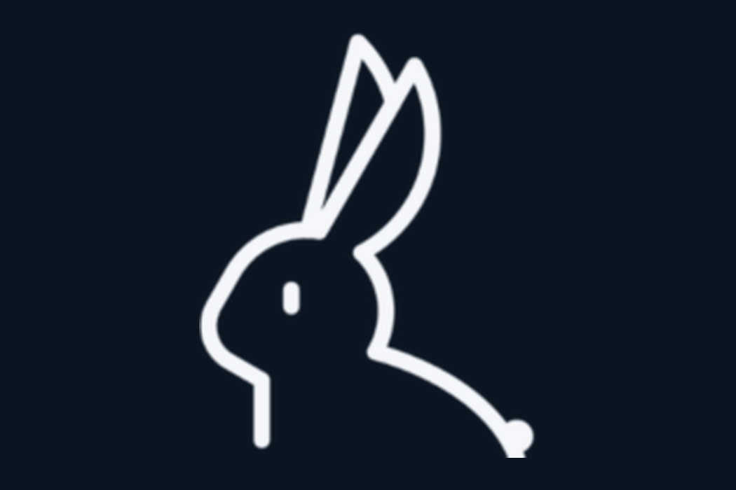 Rabbit Ventures