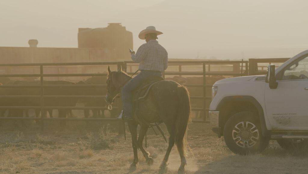 Rancher on horseback looking at a phone beside cattle pens and a pickup