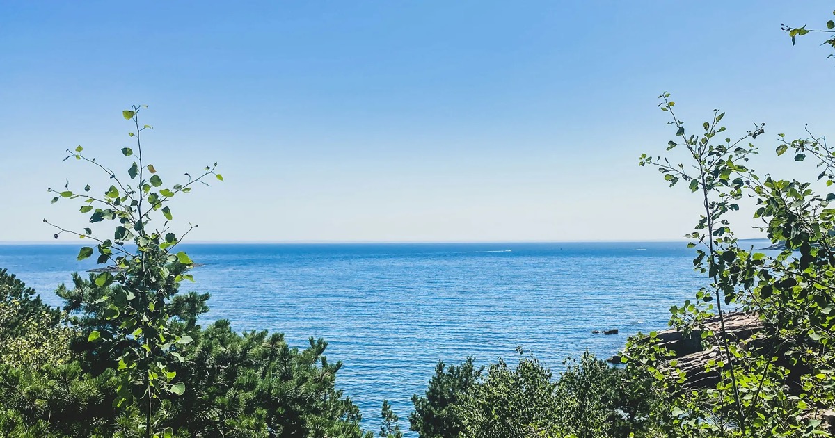 Renoster - the Maine coastline and forest where its Apollo carbon program works