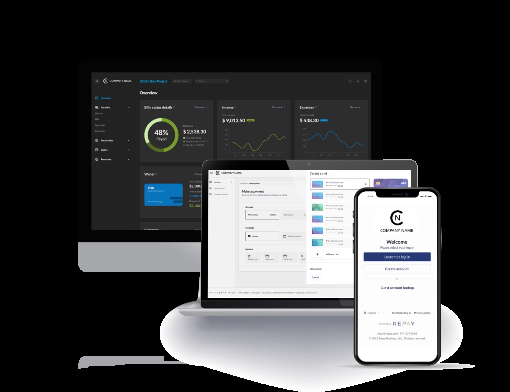 REPAY product-interface illustration showing payment reporting and customer payment screens