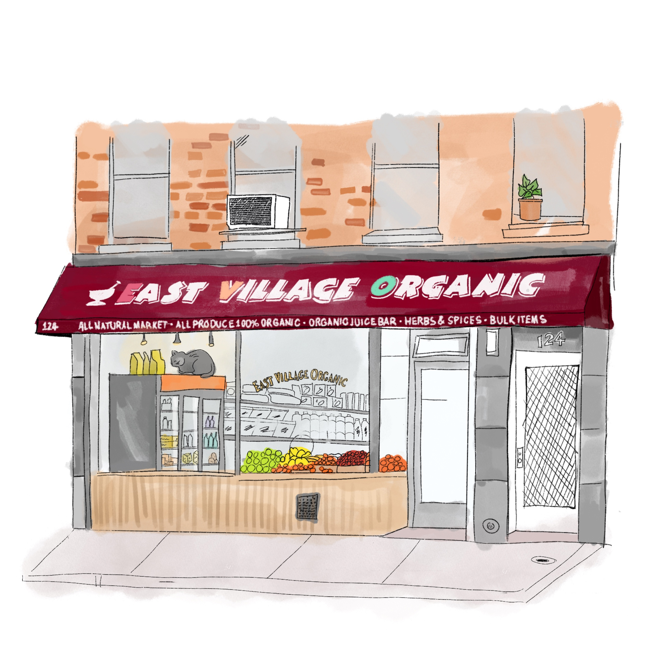 Company illustration of the East Village Organic storefront
