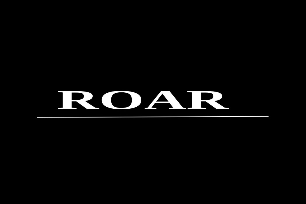 ROAR Learned That a Manager’s Best Product Isn’t Fame - It’s Optionality