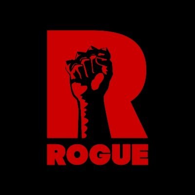 Rogue Games, Inc.
