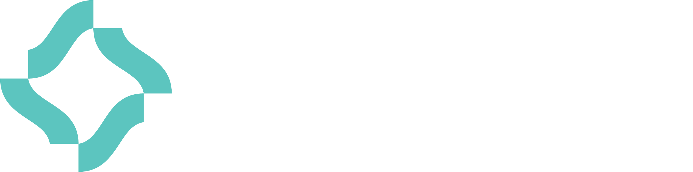 RS Software logo