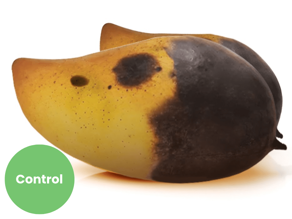 Control mango in a Ryp Labs comparison