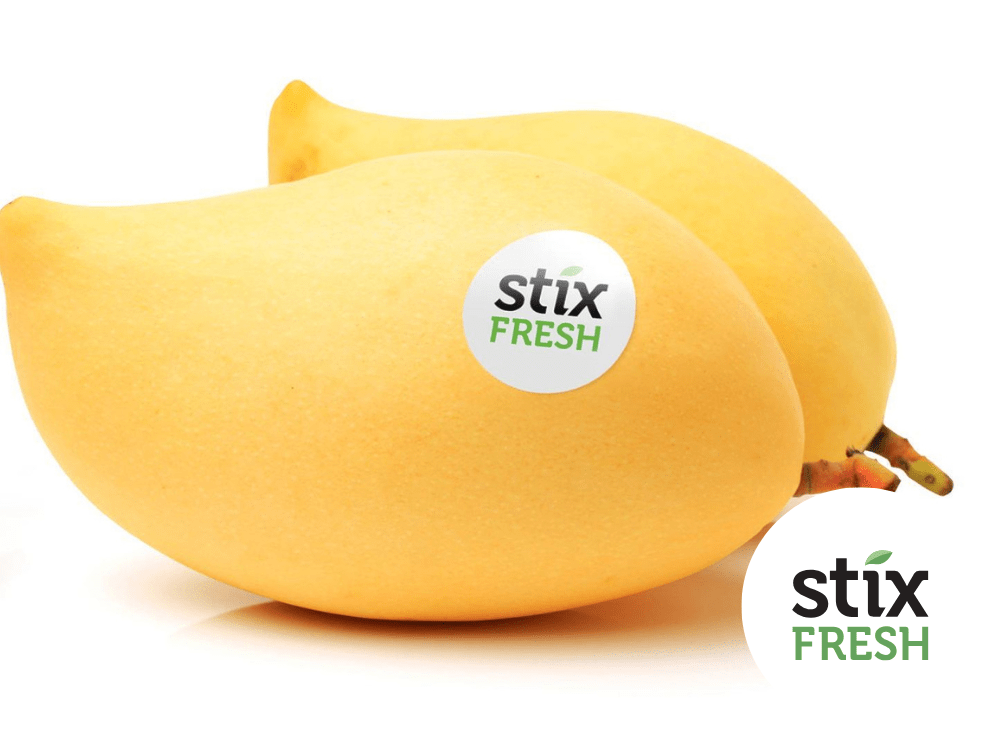 Mango treated with StixFresh in a Ryp Labs comparison