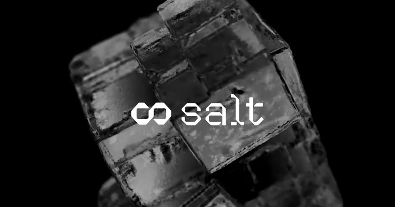 Salt AI
