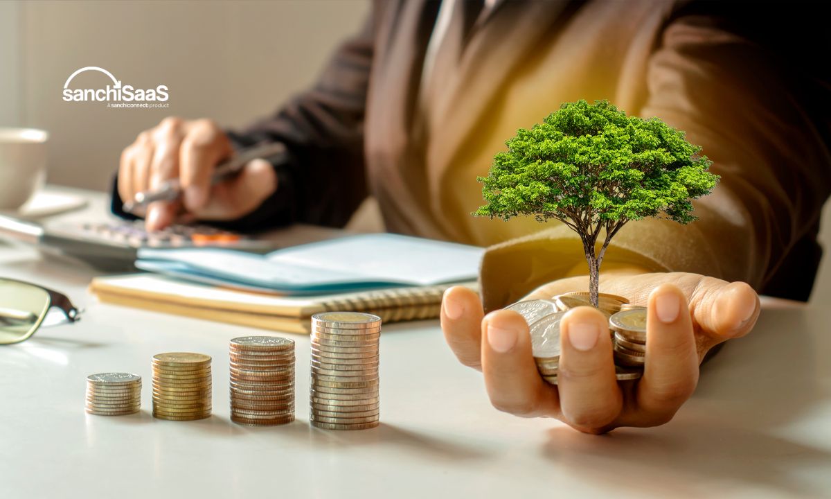 SanchiSaaS illustration of investment and growth