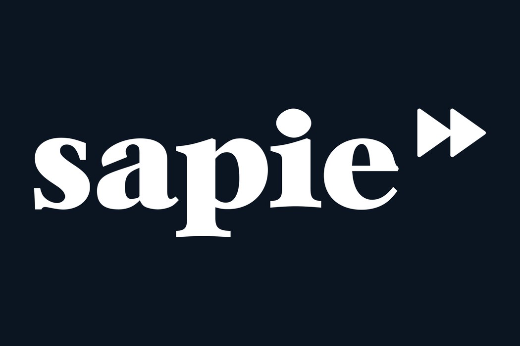 SAPIE - Slovak Alliance for Innovation Economy