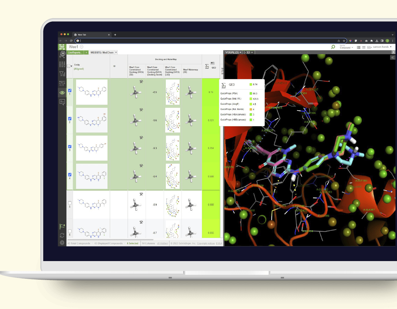 Schrödinger LiveDesign molecular discovery software displayed on a laptop