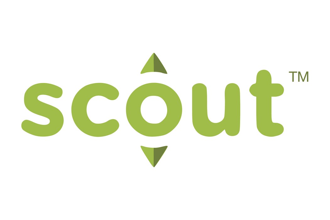 Scout RFP