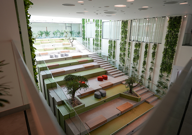 The institute’s stepped indoor gathering area, with planting, benches and daylight
