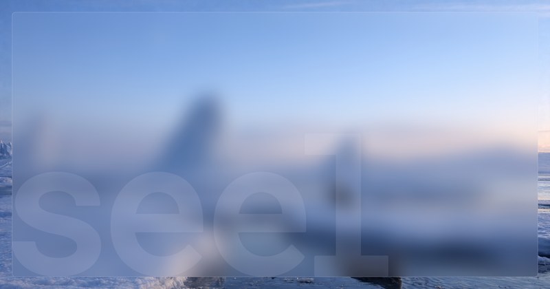 Seel