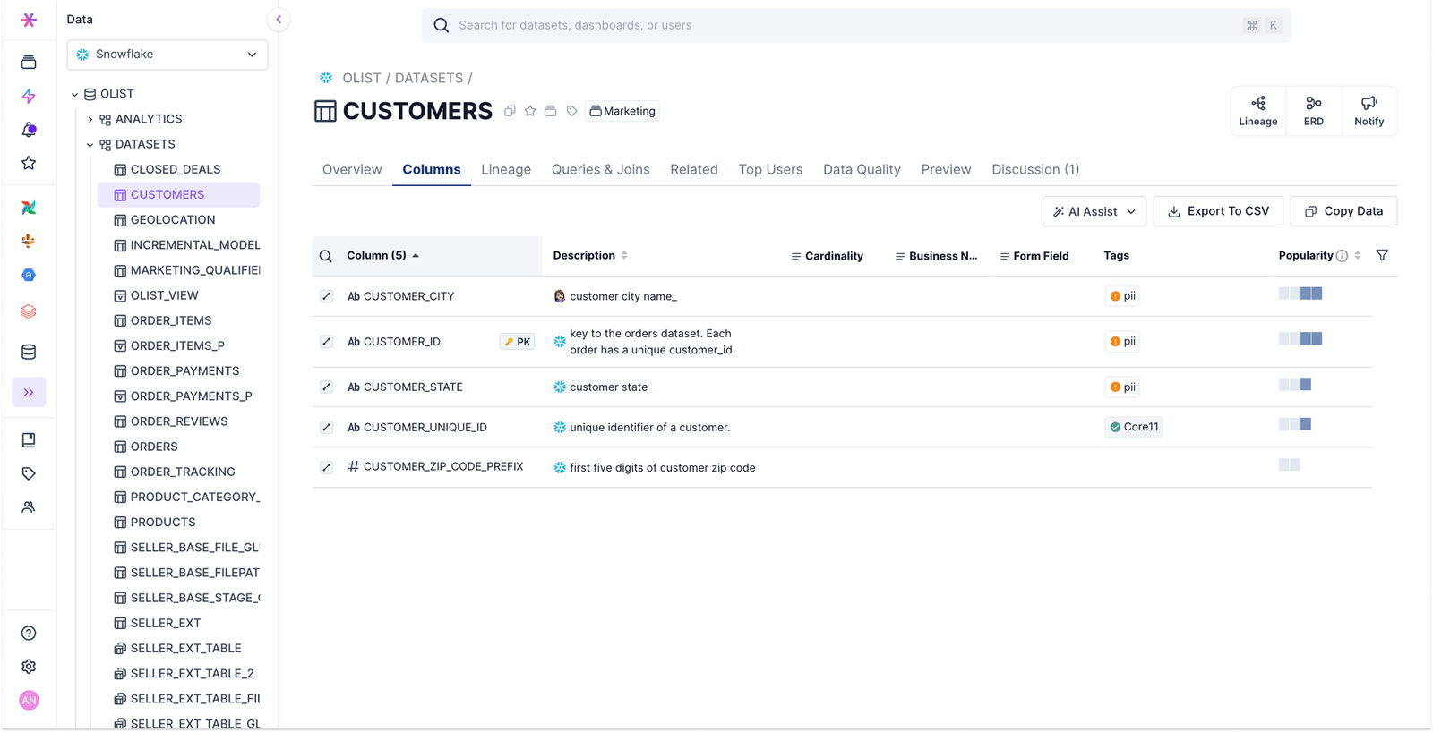 Select Star interface showing the columns of a Snowflake customers table, descriptions, tags and popularity indicators