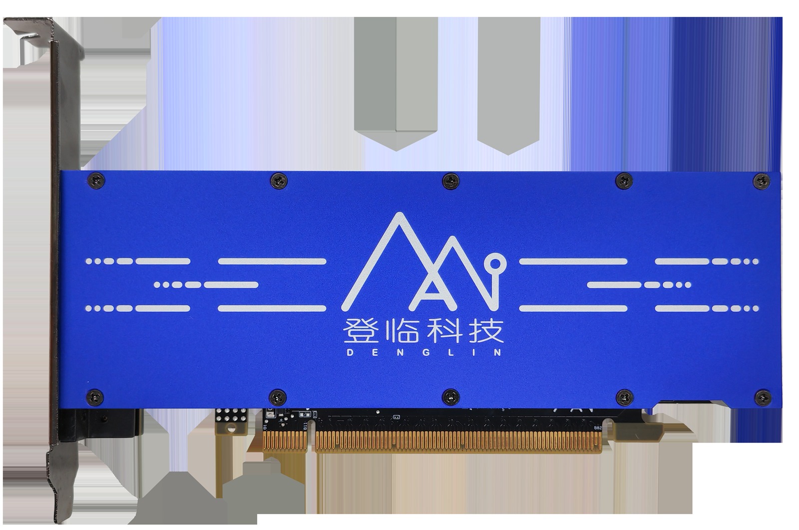 Blue Denglin Goldwasser accelerator card with a PCIe connector