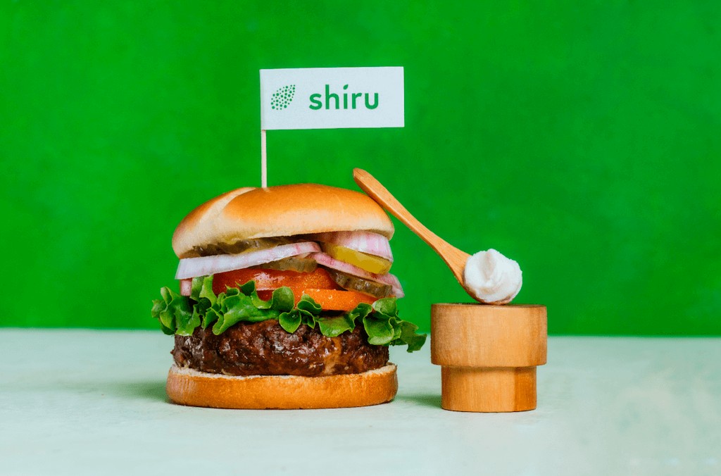 A plant-based fried food application made with OleoPro
