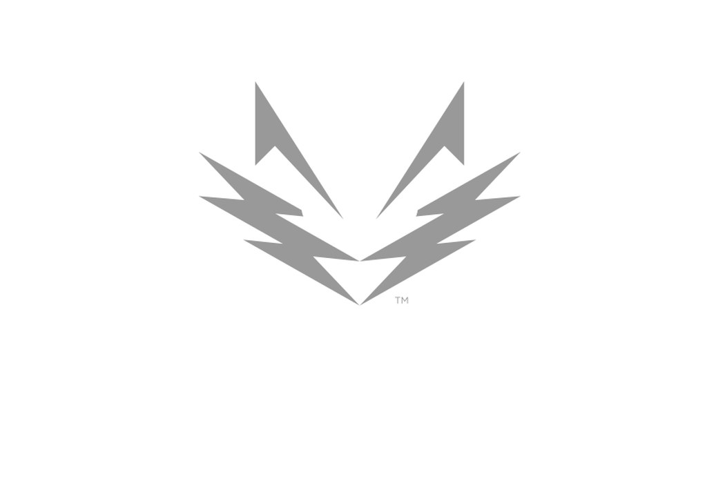 SilverSky