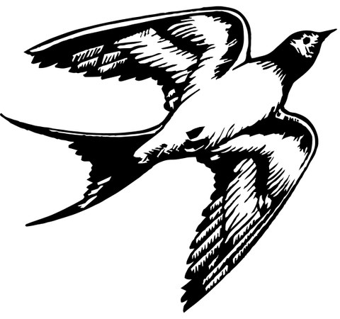 Skylark