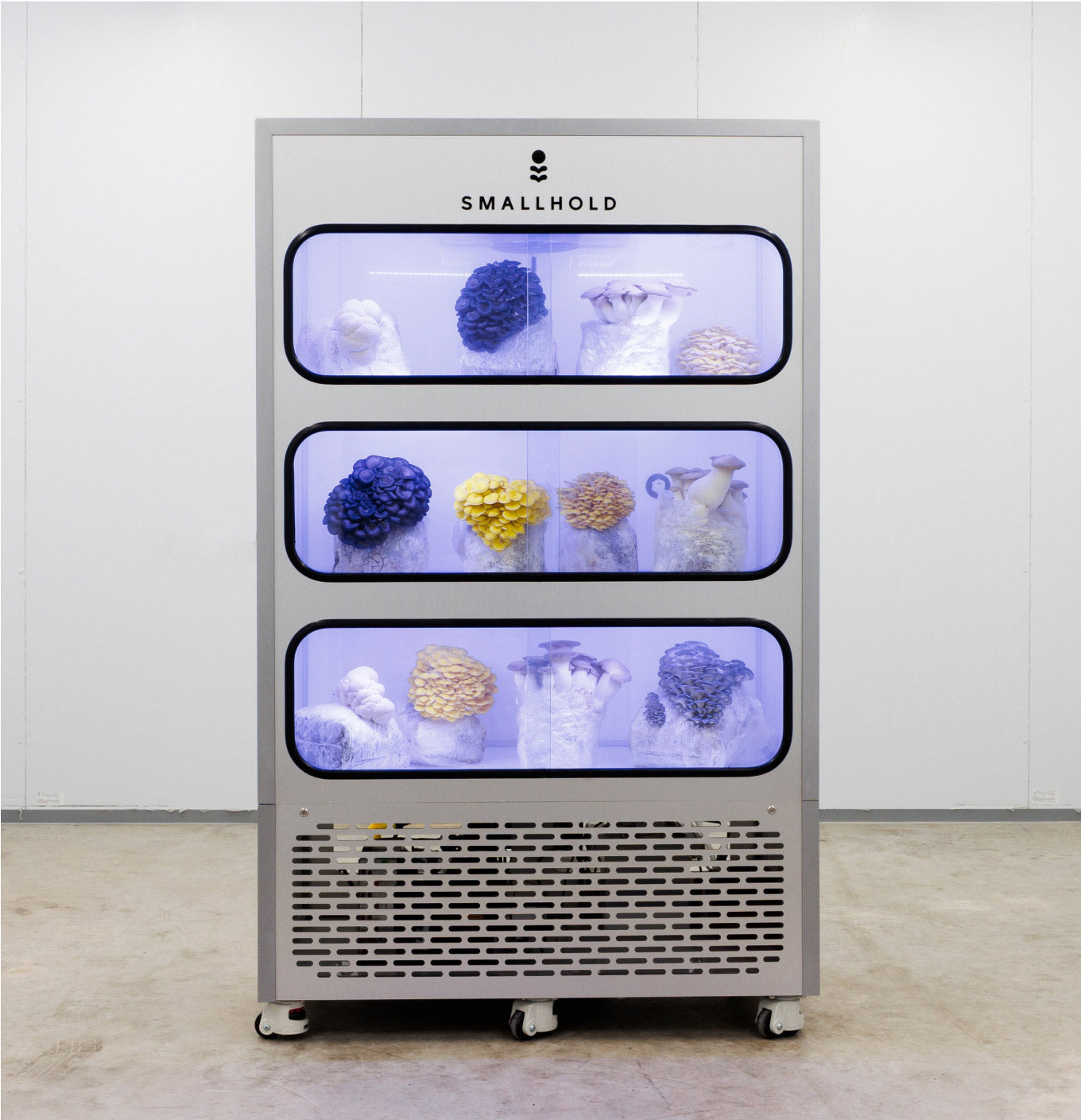 A historical Smallhold growing cabinet displaying colorful mushroom clusters