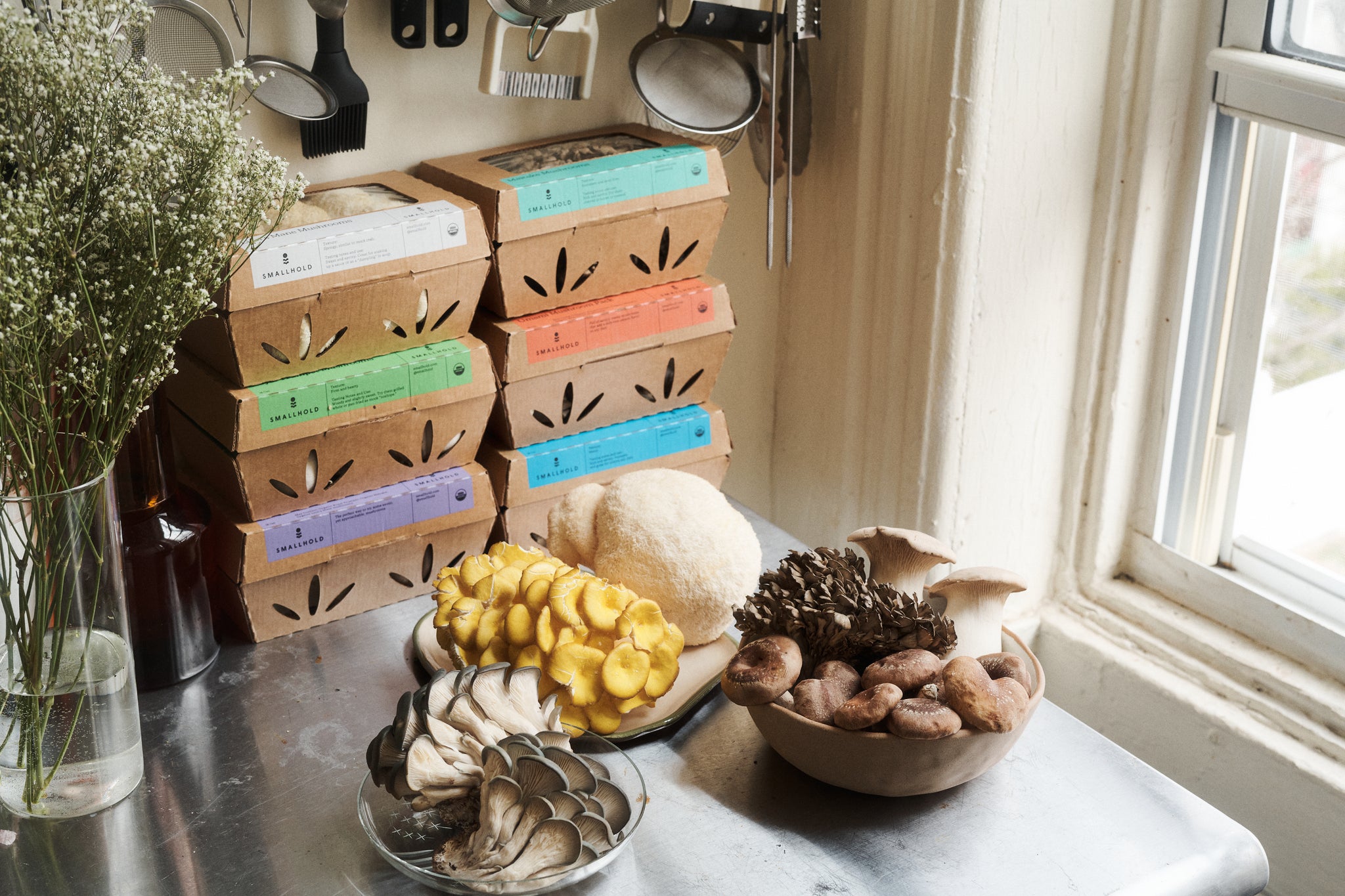 Smallhold cardboard mushroom packs beside yellow oysters, lion’s mane, shiitake and other mushrooms