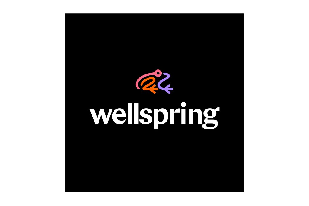Sopheon is now Wellspring