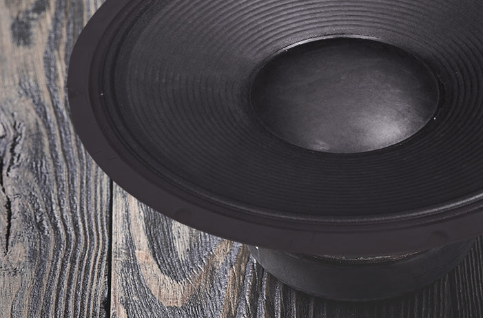 Close-up of a raw Sound Town speaker driver on weathered wood