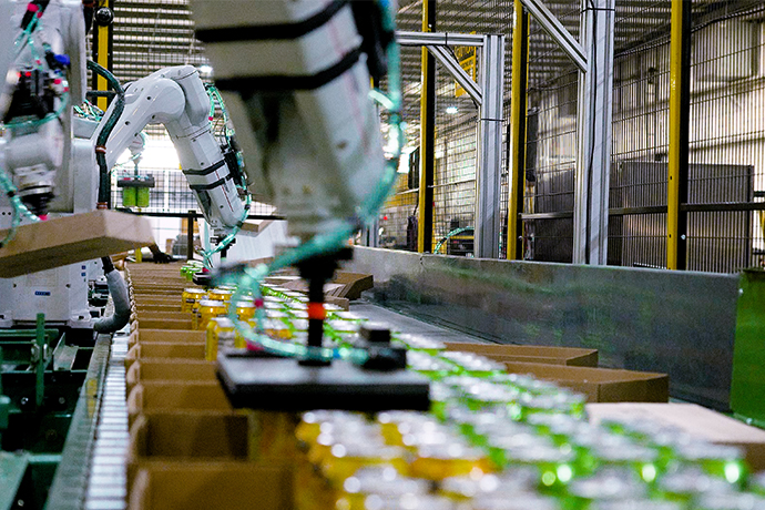 Industrial robot arms moving beverage cans into cardboard cases on a production line