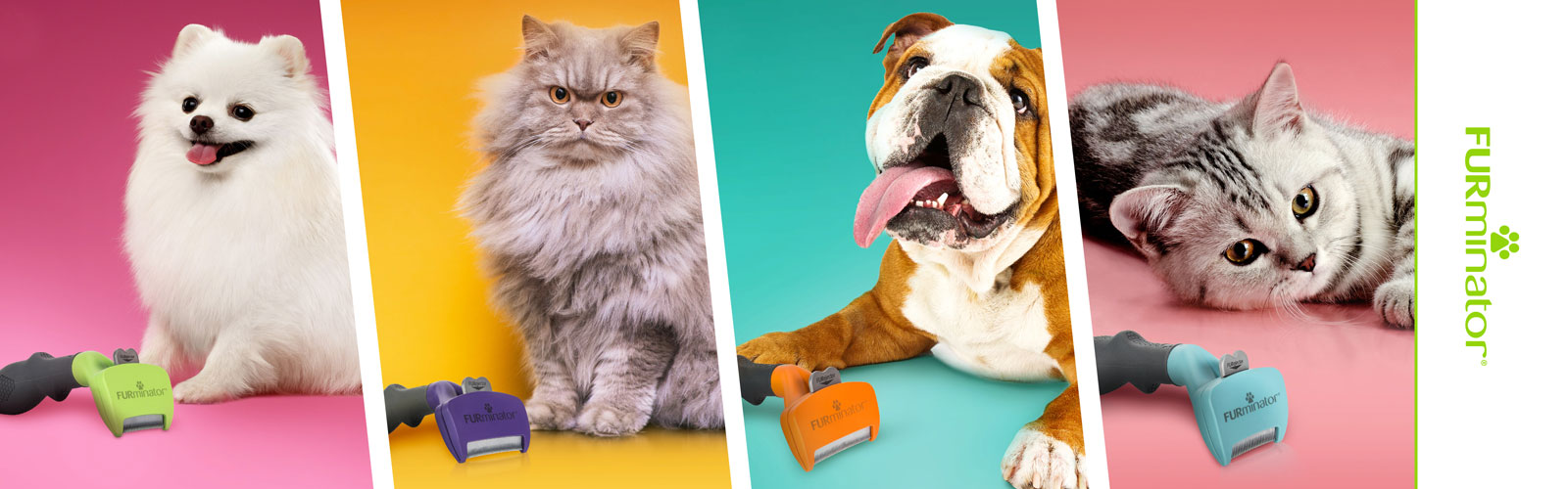 Two dogs and two cats posed beside colorful FURminator grooming tools