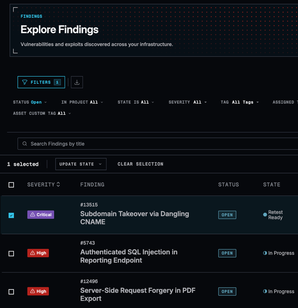 Sprocket Security platform findings dashboard