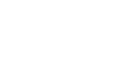 Stardust AI logo
