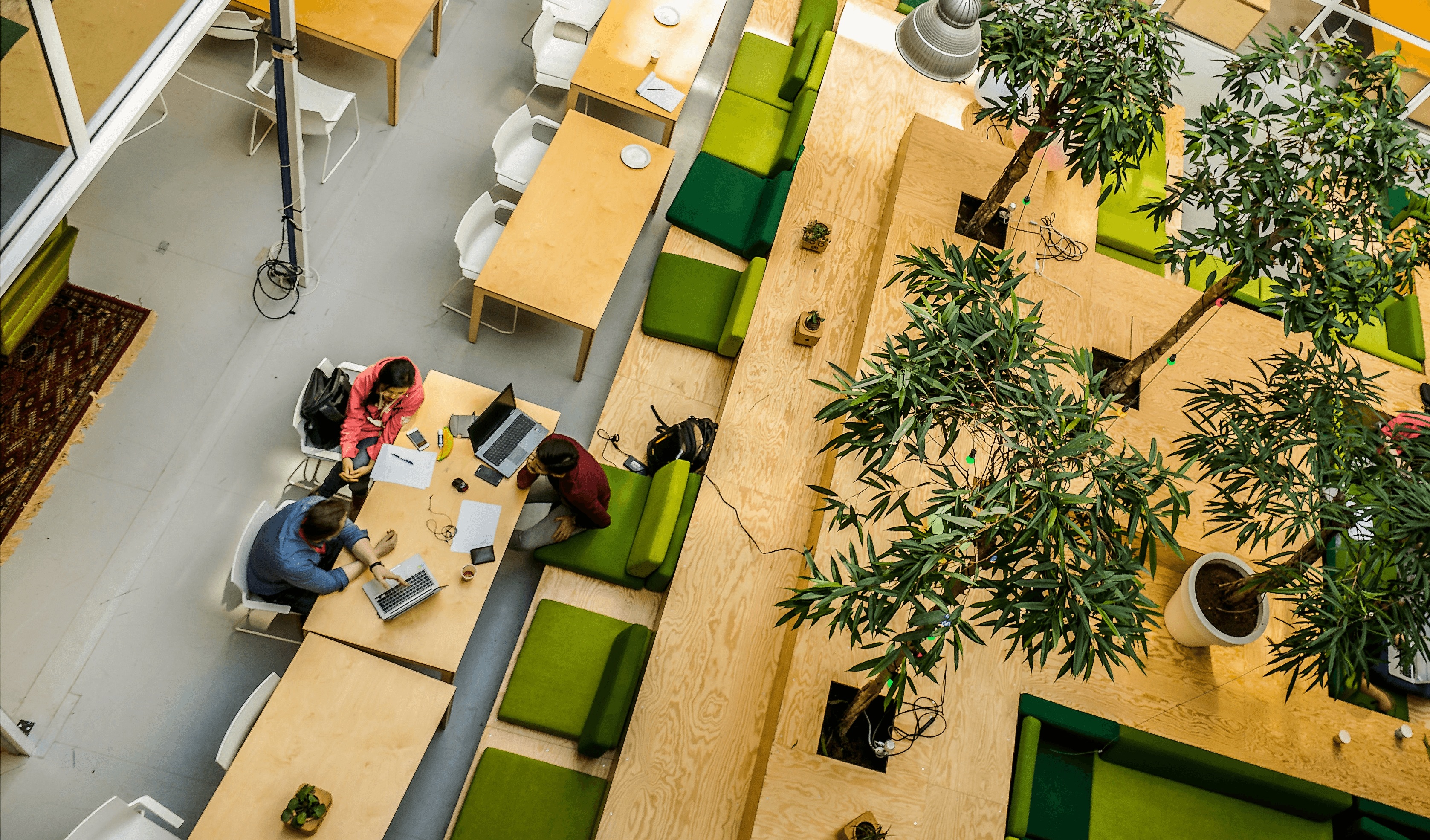People working around shared tables in Startuplab’s plant-filled workspace