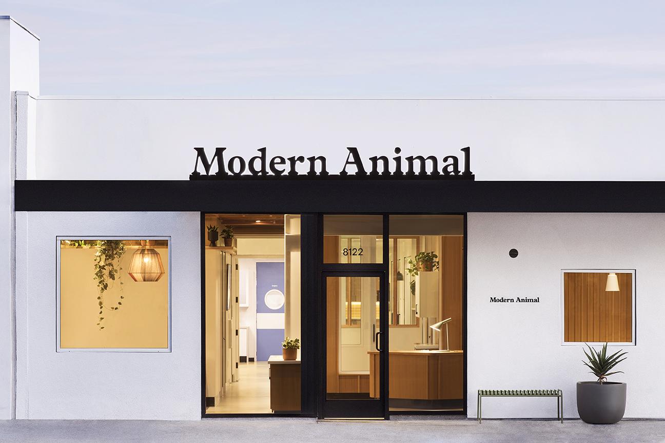 Modern Animal's Beverly Boulevard storefront, with its street entrance and large windows