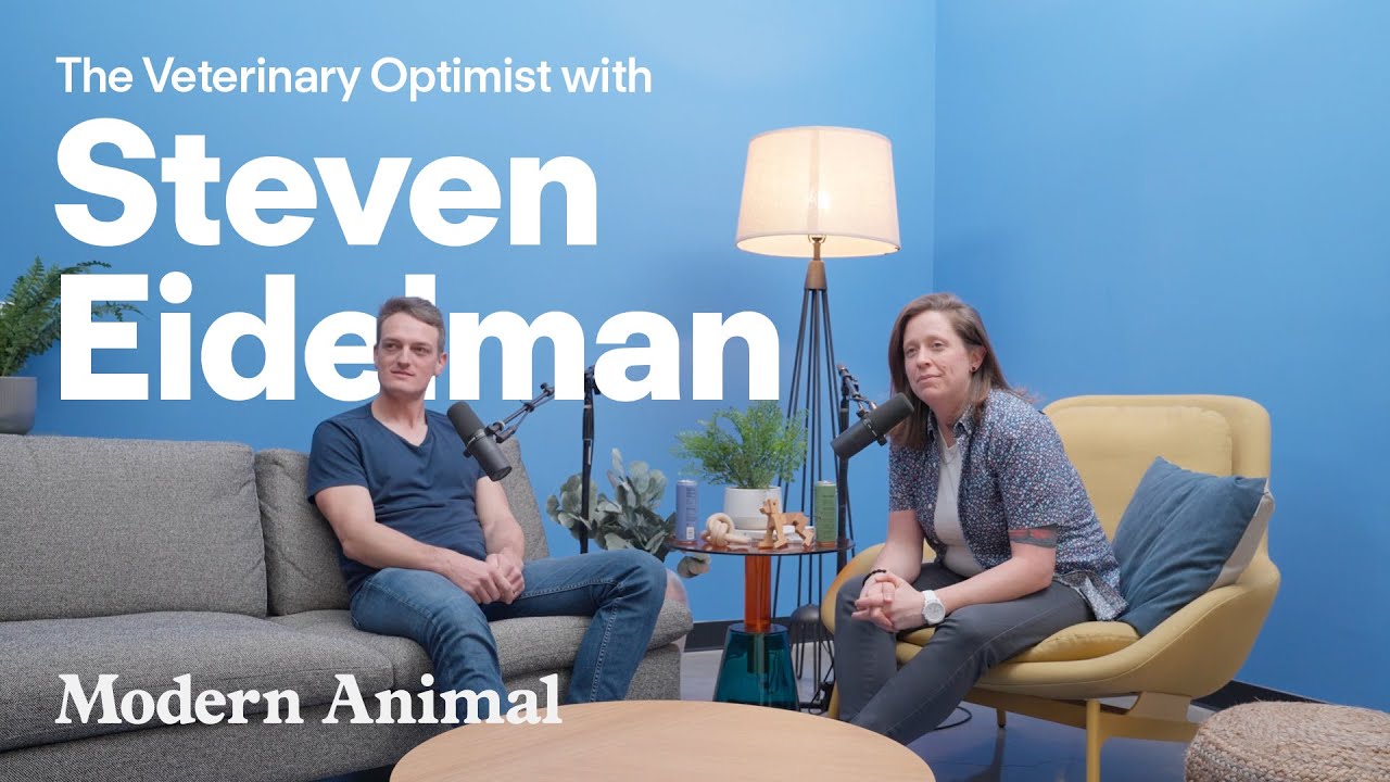 Steven Eidelman, seated at left, in a recorded conversation on The Veterinary Optimist