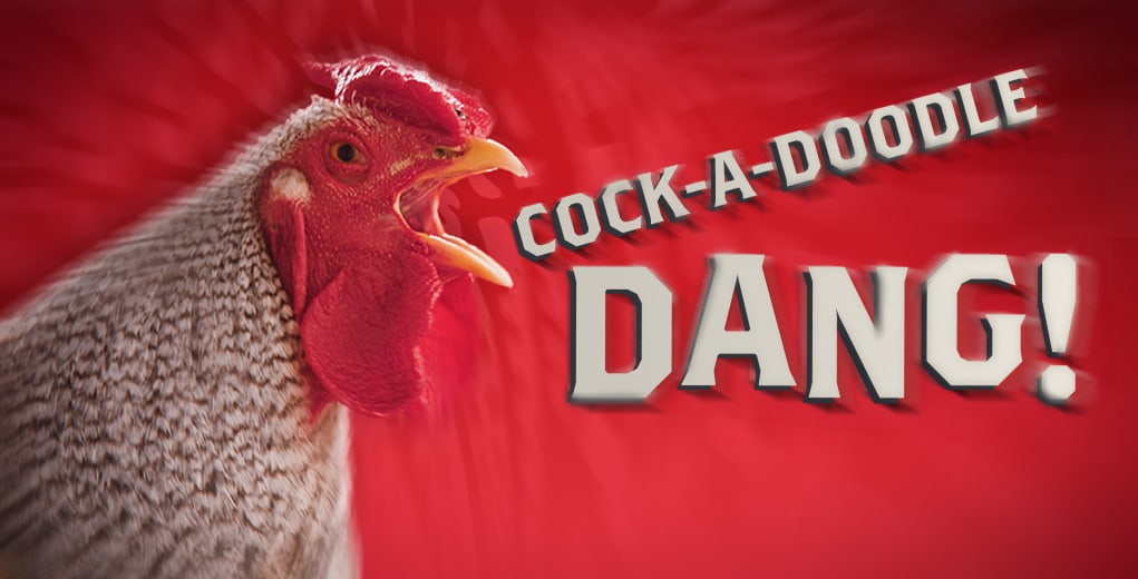 Old Dominick Distillery Nico campaign created by Sullivan