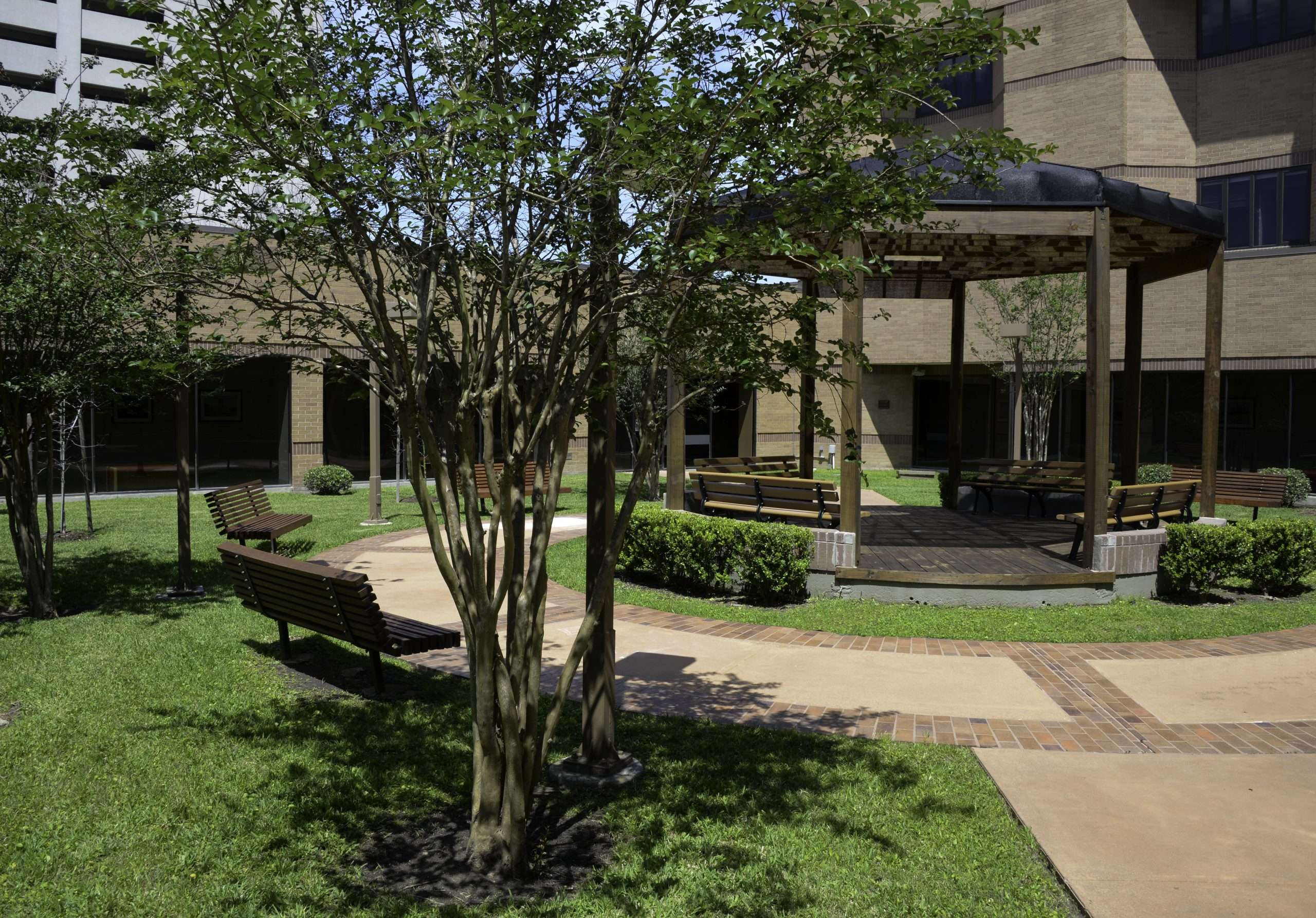 Trees, benches and a shaded gazebo in the hospital courtyard