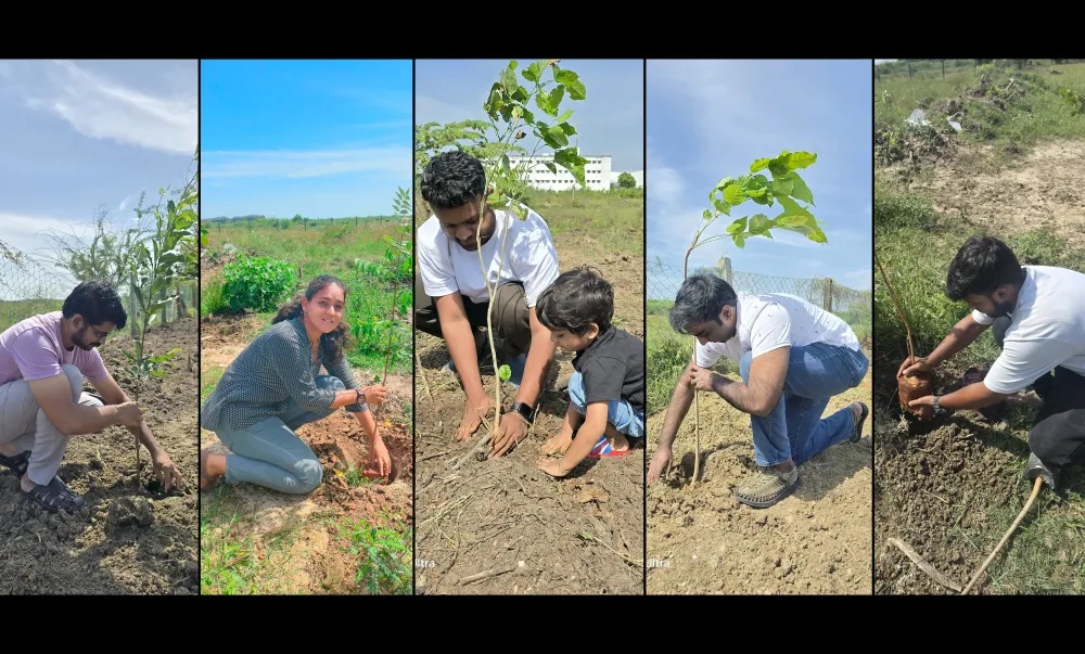 A collage from Sysvine’s careers page showing participants planting young trees
