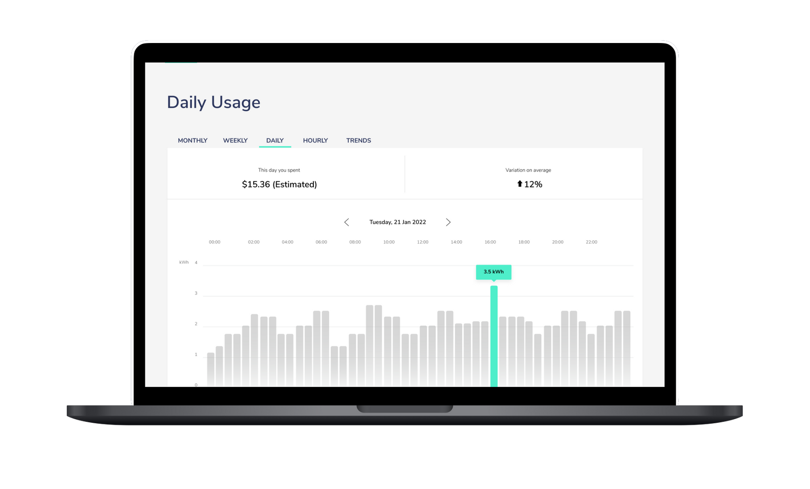 Tally Digital product illustration showing daily electricity usage in a customer portal