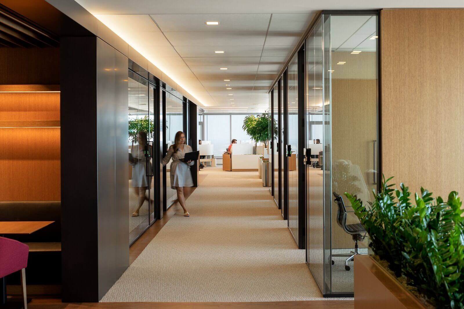 Boston Consulting Group Chicago office corridor with glass offices, wood finishes and plants