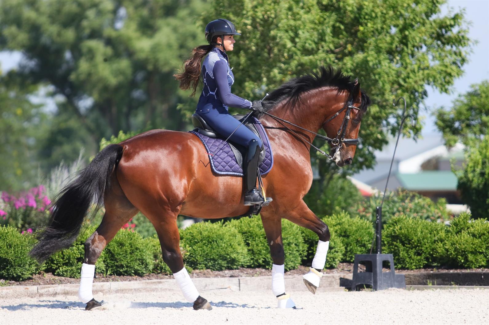 Taryn Young riding Rayne in a dressage arena