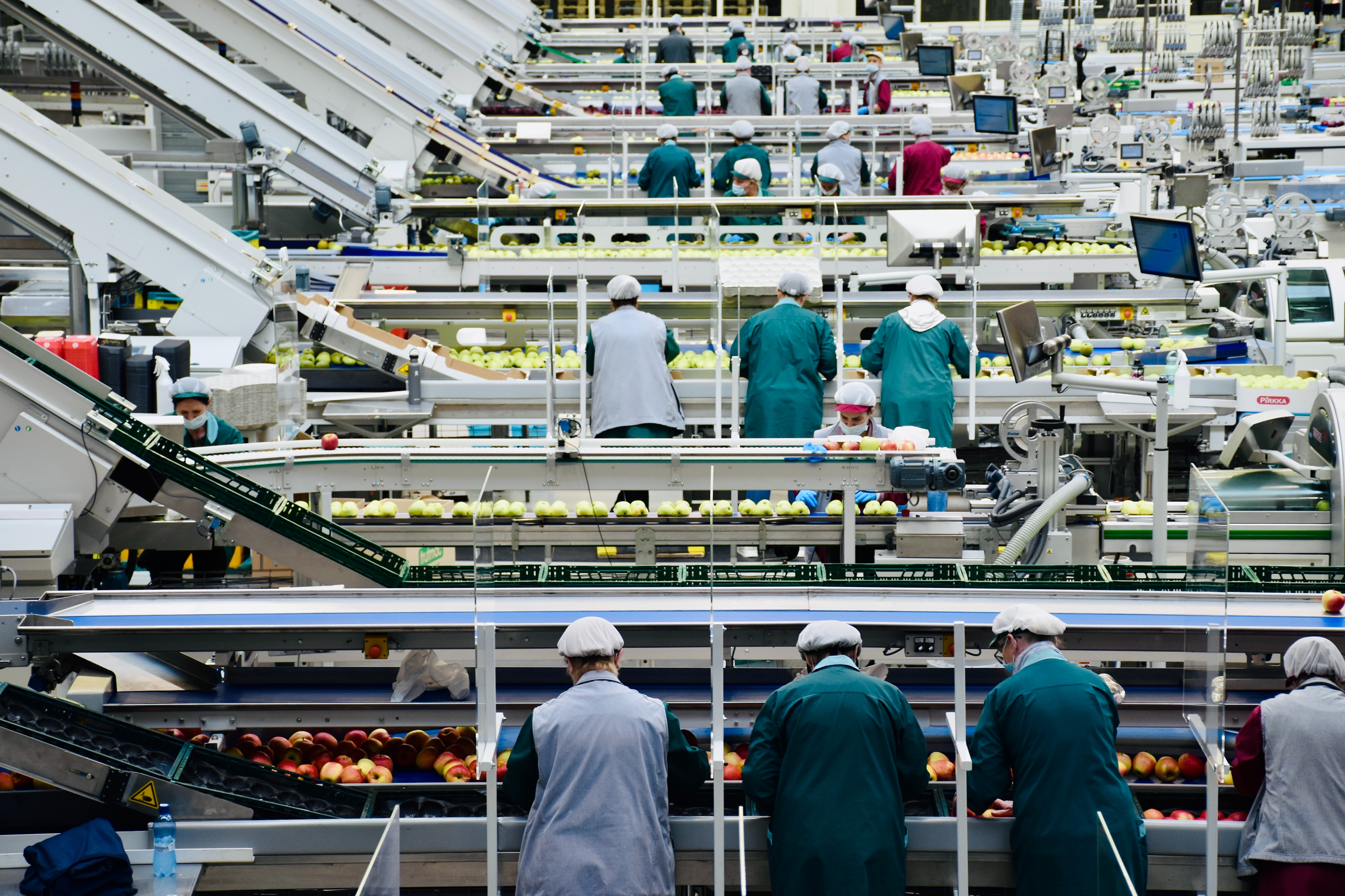 Workers and conveyors in a large food production facility